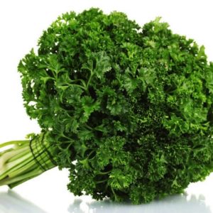 Curley Parsley Seeds Natural Seeds Canada